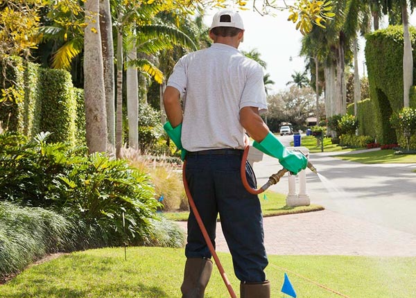 About New Weston OH Pest Control